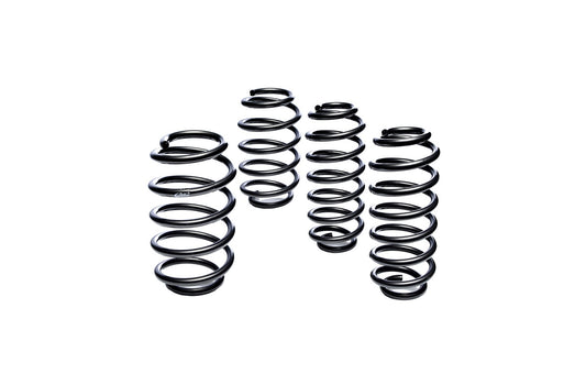 Eibach Pro Kit springs set of 4 for Porsche on white background.